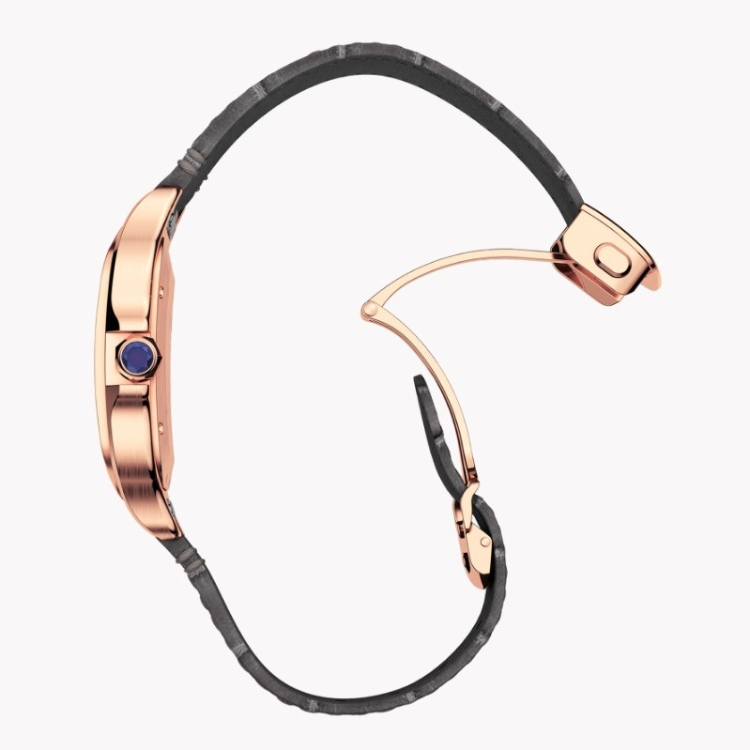 Cartier Santos de Cartier WGSA0019 Watch strap