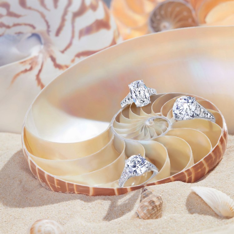 Masterpiece Diamond Rings