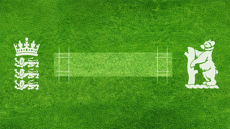 England and Warwickshire Cricket logoss