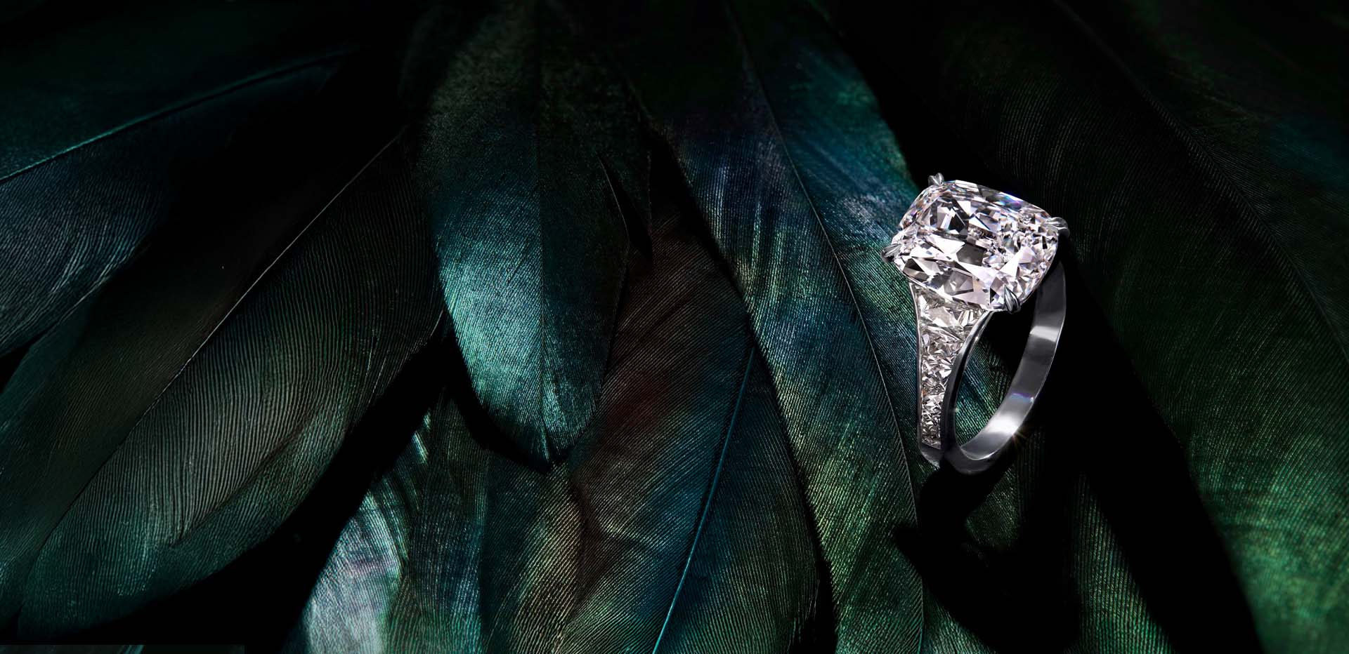 Pragnell Setting_Hompage_Header_desktop.jpg