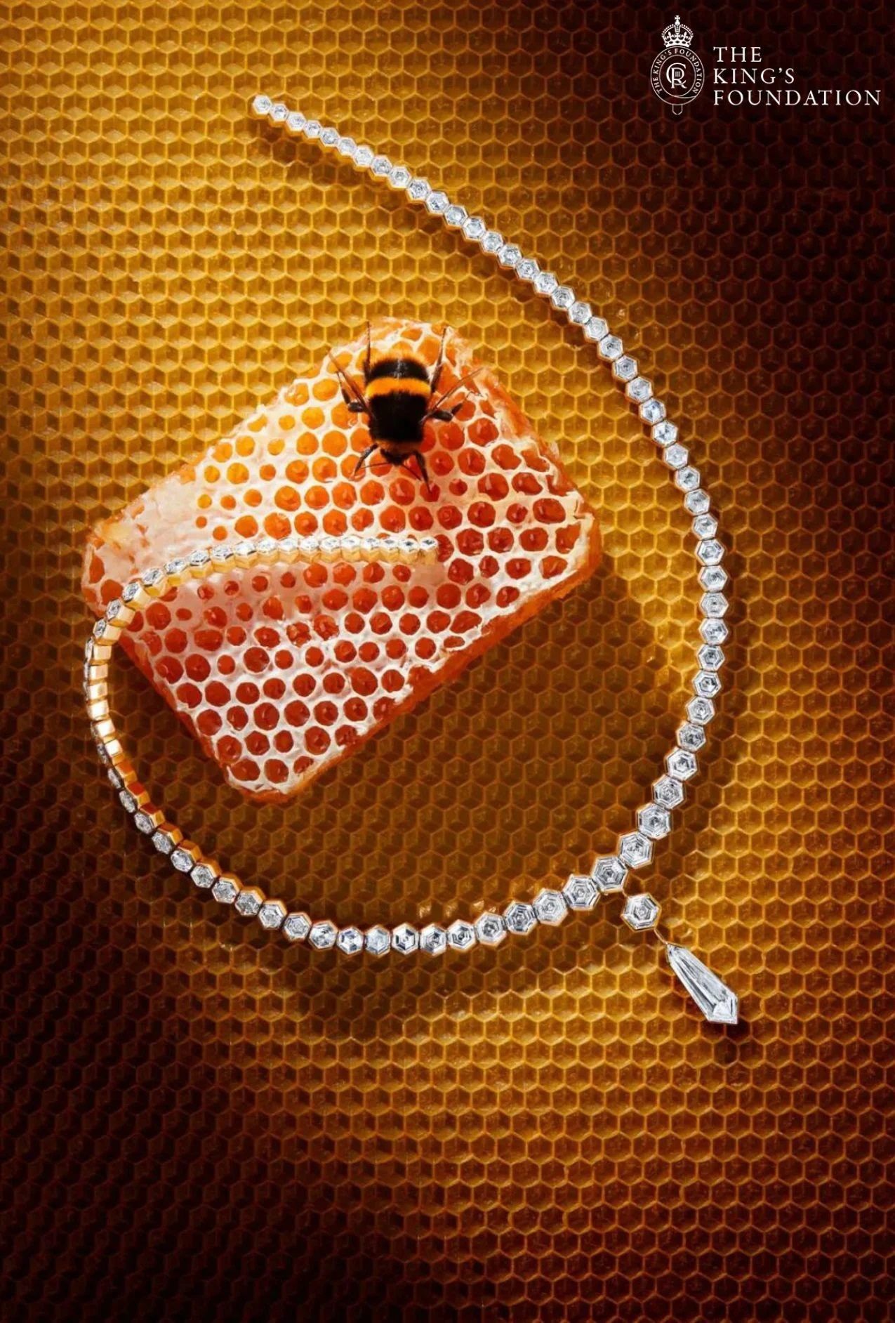 8f999e04_untitled-design-(3) (1).jpg