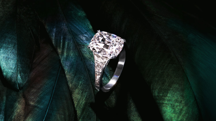 Pragnell Setting_Mobile_1440x500.jpg