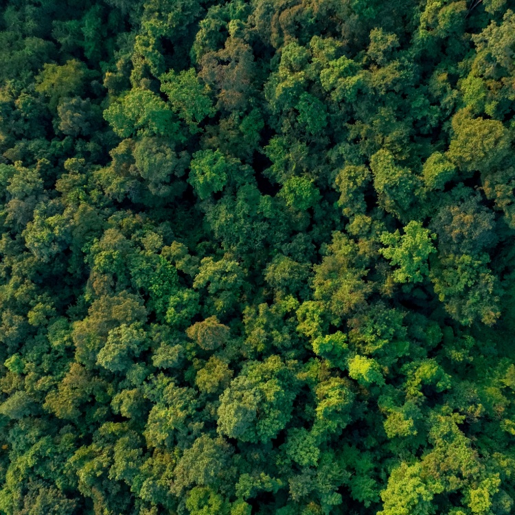 shutterstock_2473897973 (2) (1) (1).jpg