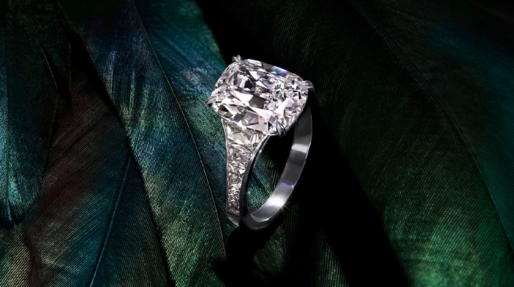 Pragnell setting_CLP_Header_Desktop_1440x500.jpg