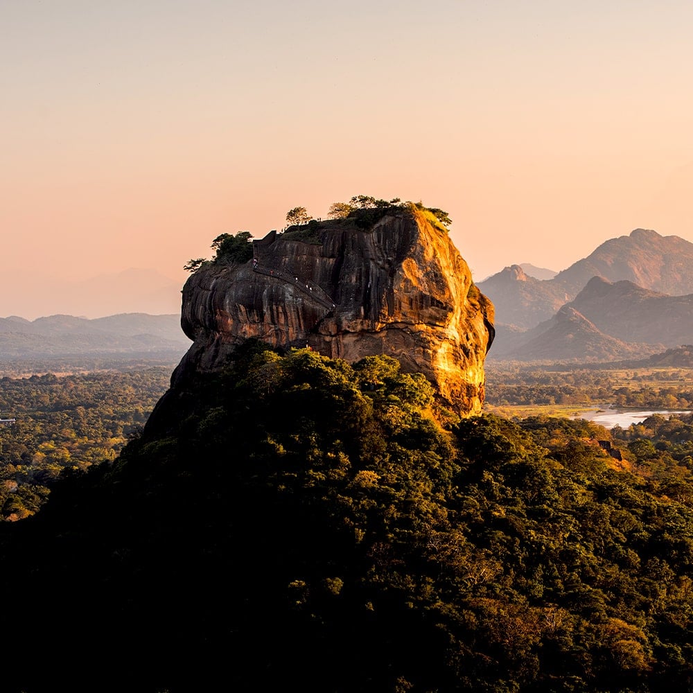 ORIGIN_Sustainabilityjpg