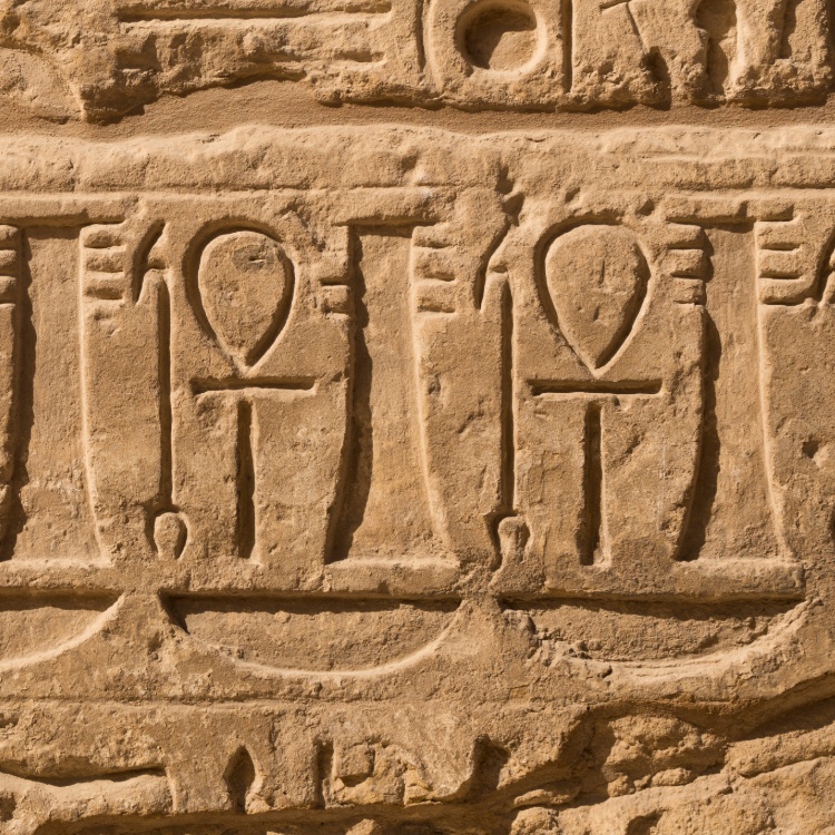 shutterstock_1598965273 (1) (1).jpg