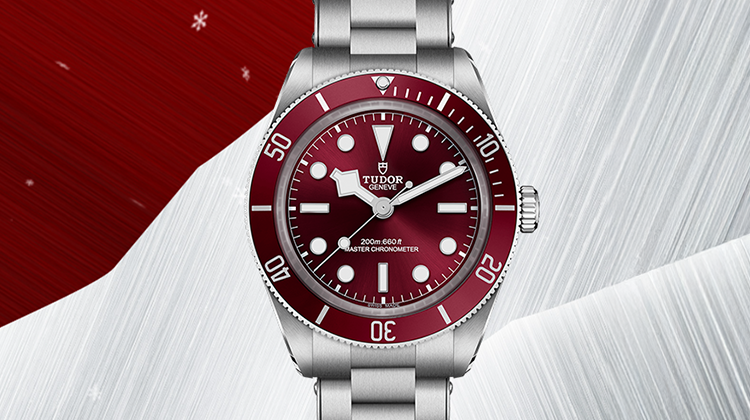 Tudor-banner - Mobile V2.png