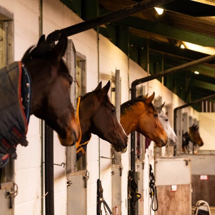 K&M Racing Image 1.jpg