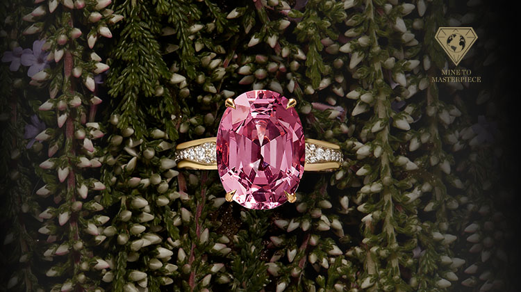 CLP_KituloRing_Banner_CLP_1440x500_V1.jpg