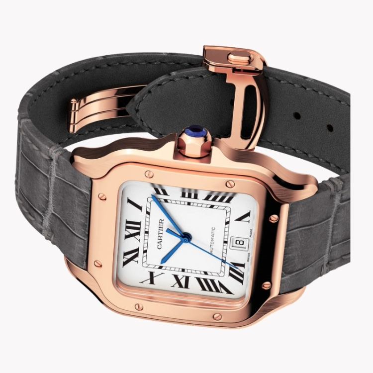 Cartier Santos de Cartier WGSA0019 Watch side