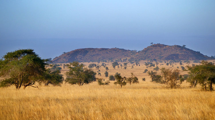 KR_Landscape_Desk.jpg