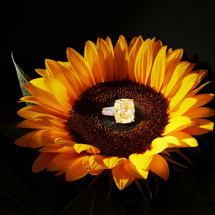 Kimberley Yellow Diamond Ring