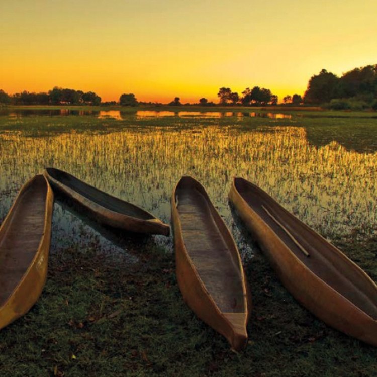 11a320f0_landscape_bostwana_clp_750x750_v1 (1).jpg