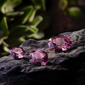 IG images Mix_-1-min.jpg