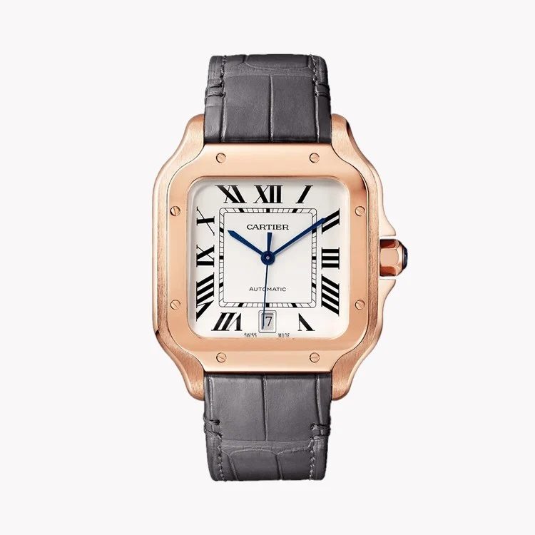 Cartier Santos de Cartier WGSA0019 Watch