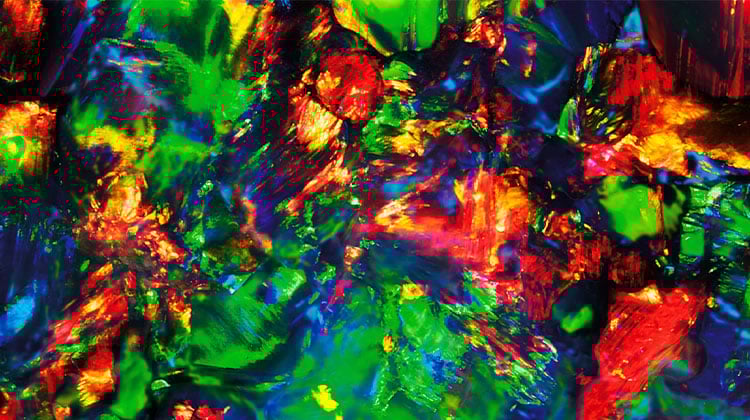 CLP Mobile Banner.jpg